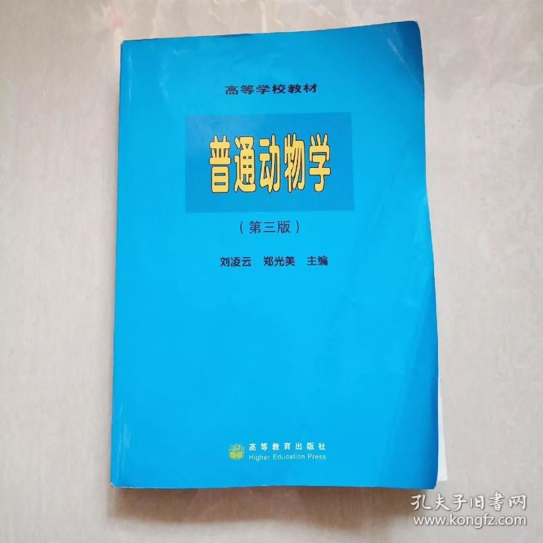 我的野保坑是这样填出来的：打豆豆，就酱