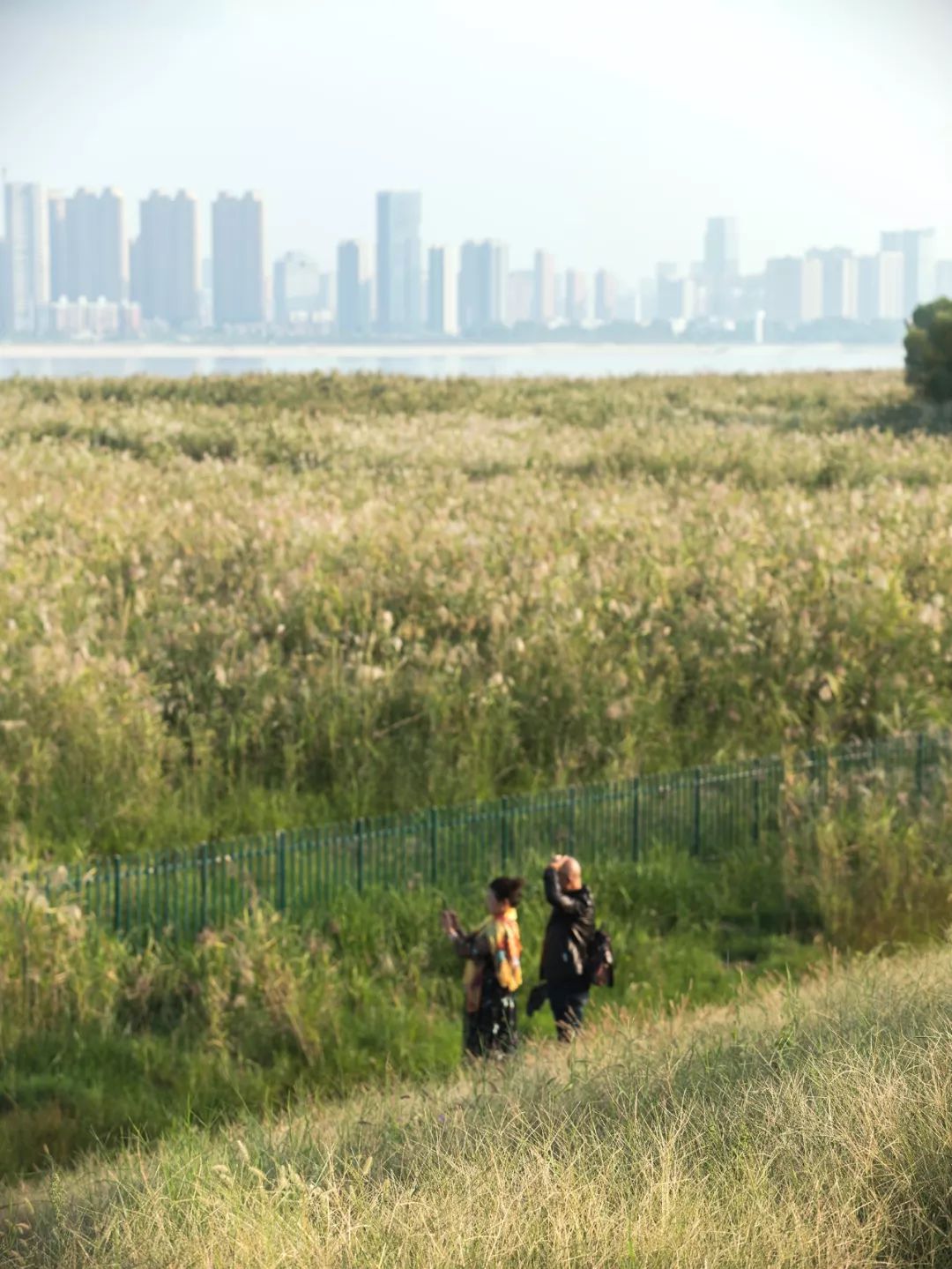 所有女生！江滩“上新”了秋游好去处