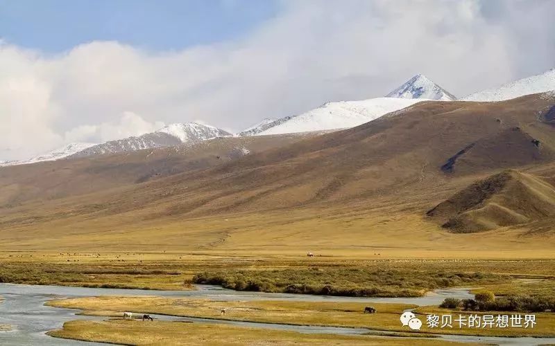 贝壳分享｜|她们说，秋冬也要认真穿