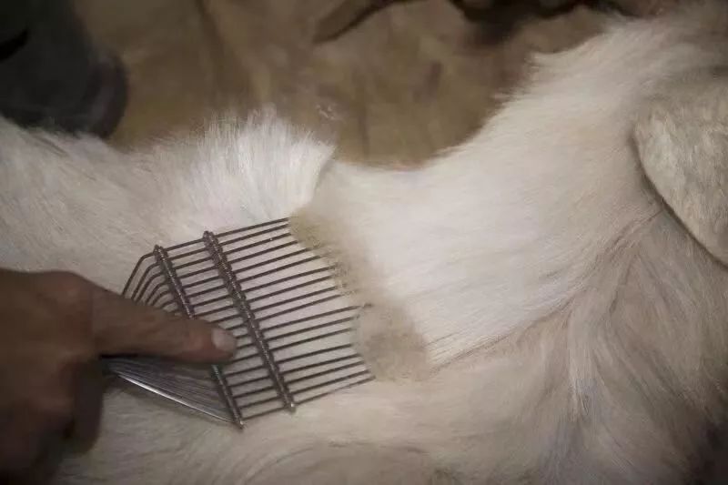 想要把冬天的日子过得温暖又柔软,想把日子过得热气腾腾