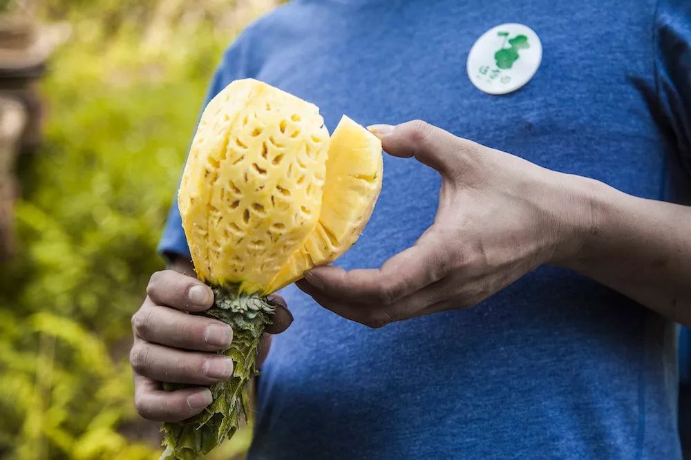 一月哪些星座桃花运最旺,10月份桃花运最强的三大星座
