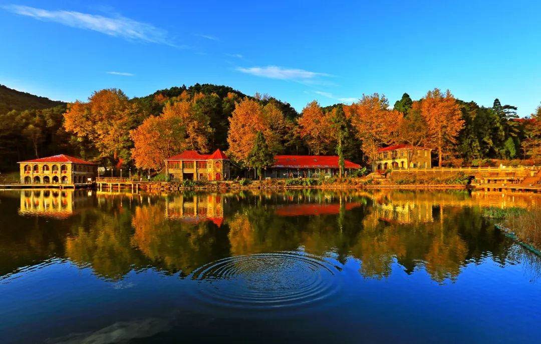 庐山风景区政府招投标公告,庐山最新招商引资消息