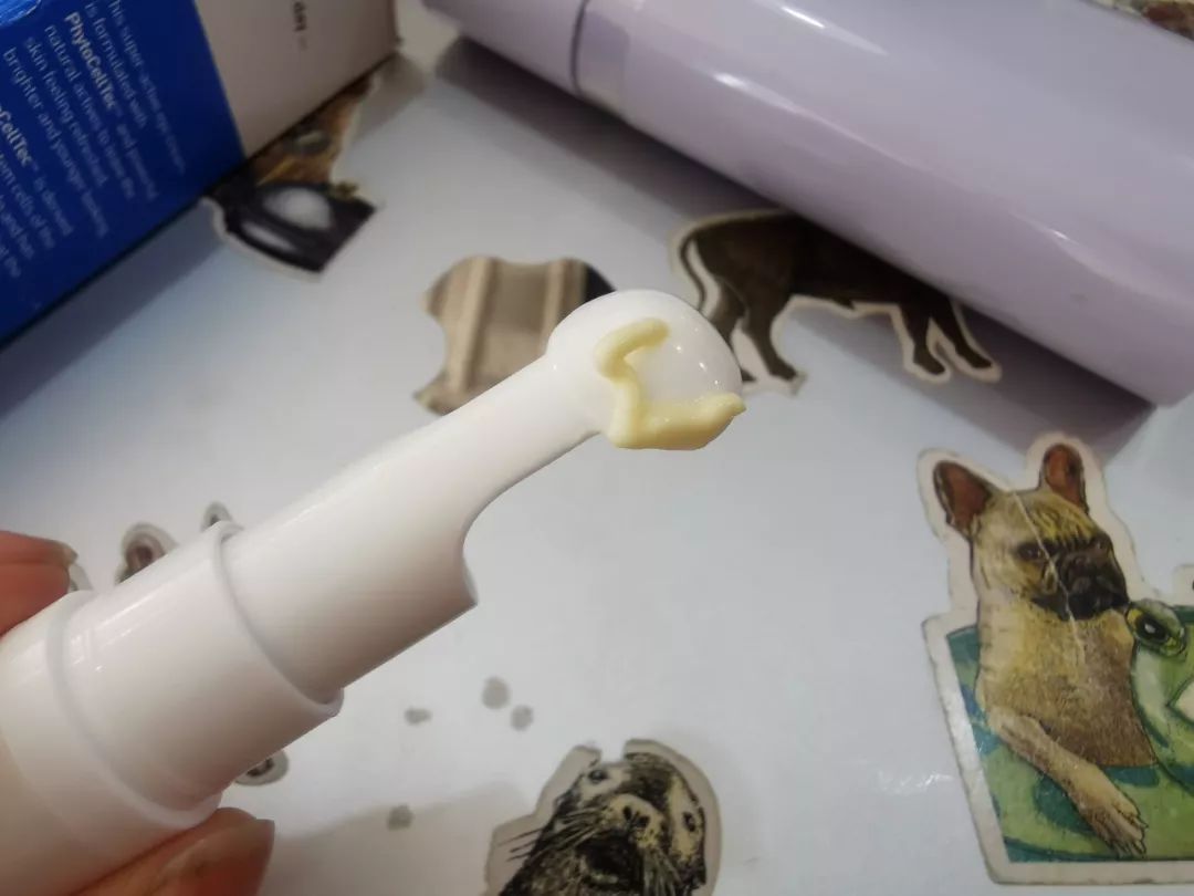 纯色系花,纯色小野花