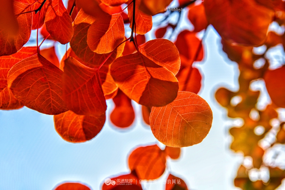 坡峰岭乡村大集,坡峰岭附近赶集
