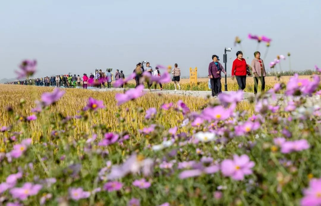 终于知道庆丰为什么火得不要不要的