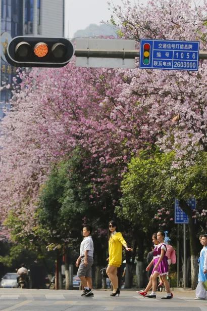 强势来袭！柳州这些风景如画的校园，你最爱哪一款？