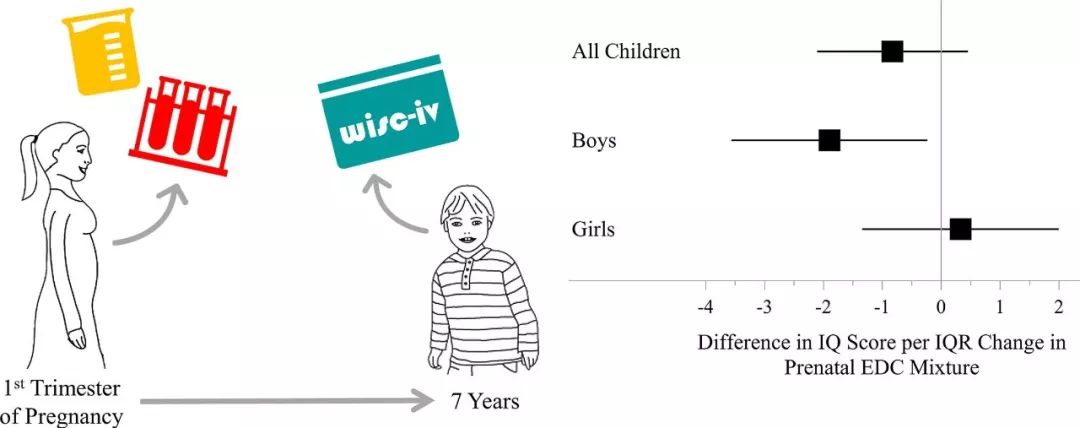 孕期用塑料制品，会拉低后代智商？科学家发现，母亲孕期接触双酚F等化学物质与儿童7岁时智商评分降低有关，男孩尤为明显丨临床大发现