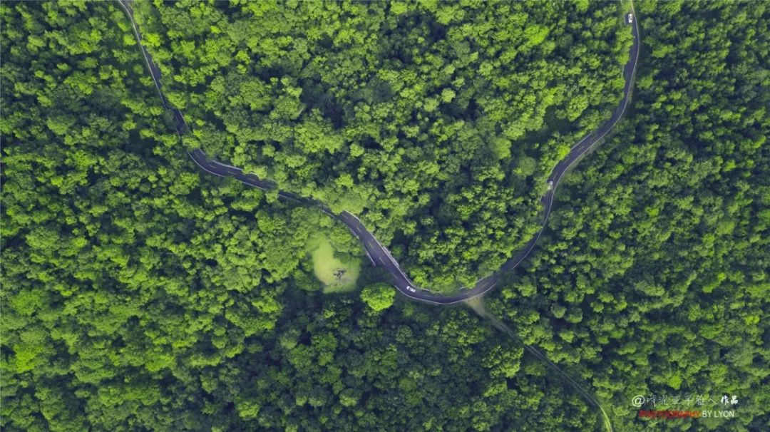 天呐！被南京这些路圈粉！