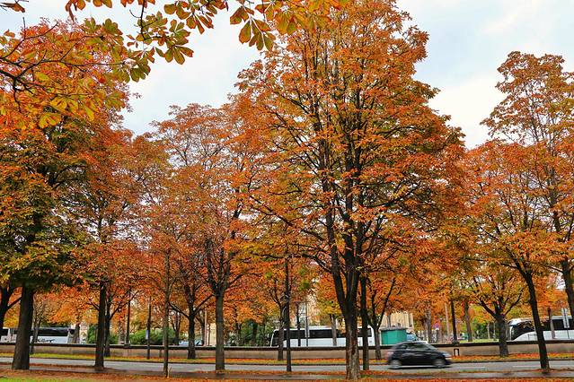 一场旅途最美的风景,借一场旅行遇见自己