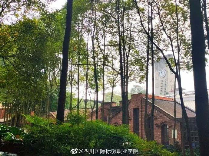 成都最有名的冷知识,成都冷知识