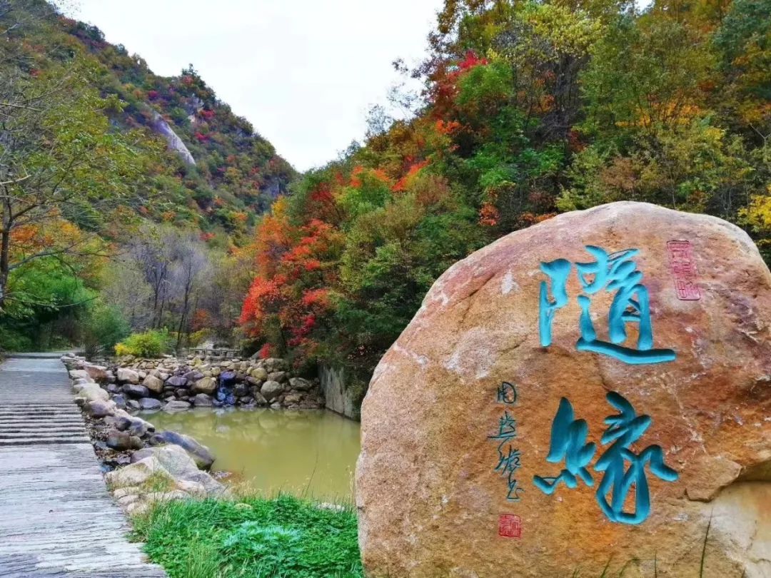 洛阳19家4a级景区免门票,洛阳凭机票所有旅游景点免门票