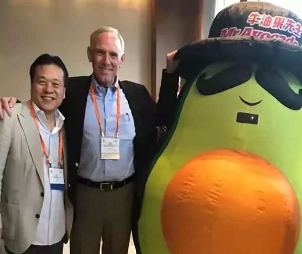 牛油果减肥好处有哪些呢,牛油果减肥真的有效吗