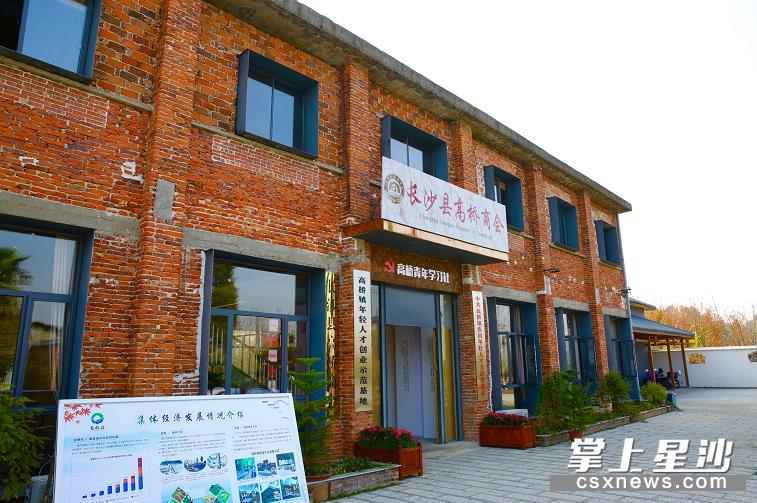 乡村振兴工作取得新进展新成效,乡村振兴考核取得优异成绩