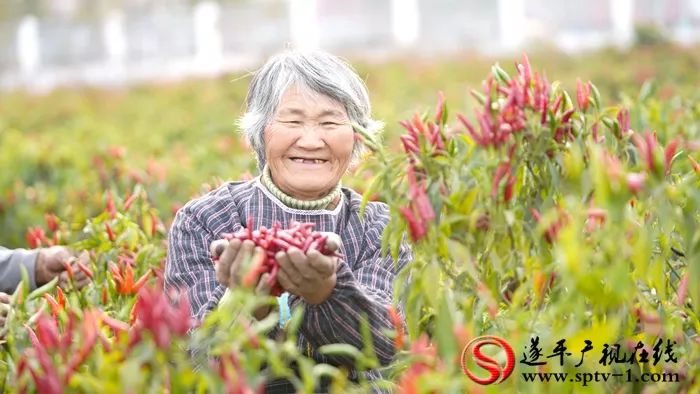 来村网创始人李敏：用心打造电商平台，不忘初心助力脱贫