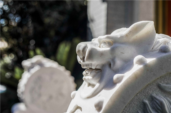 闄㈠瓙閲岀殑鐢熸椿缇庡,闄㈠瓙鐢熸椿缇庡