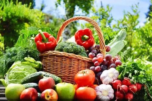 2022年农产品仓储保鲜冷链物流,农产品仓储保鲜冷链物流项目