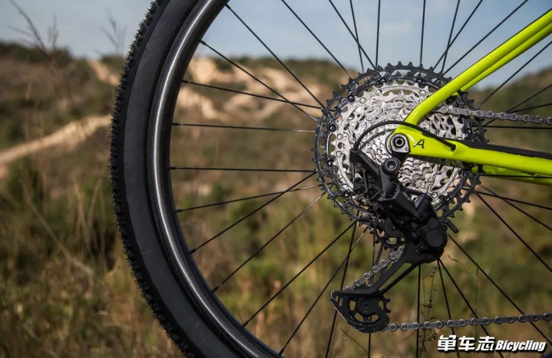 解读封宽杰の真香12sShimanoDeoreXTM8100套件大全