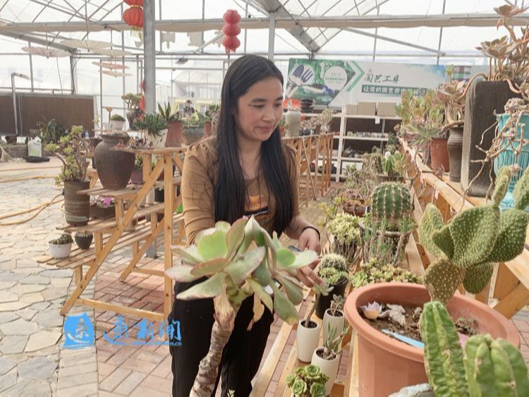 电商创富记视频,农产品电商创业新闻报道