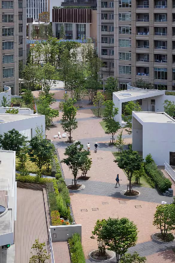 场地启发灵感“地尽其利”丨studioonsite事务所