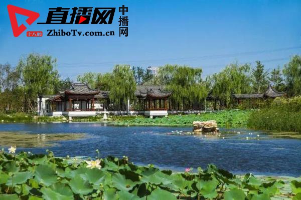 天津最新规划这些地区迎来大发展,天津即将新建的板块