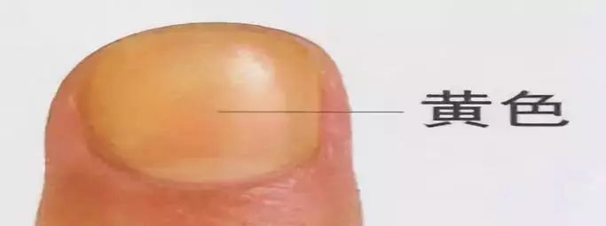 科普指甲怎么来的,关于指甲的科普视频