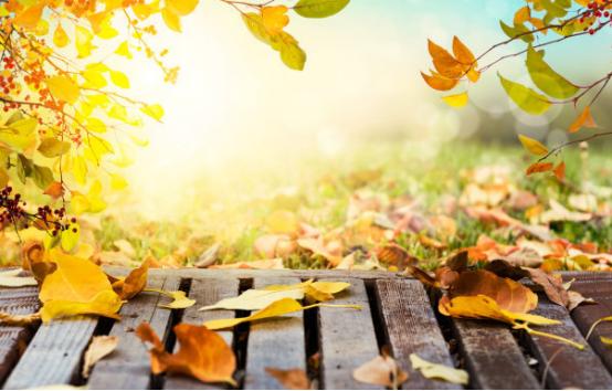 梦中掉牙是什么意思,梦中梦到自己掉牙是怎么回事