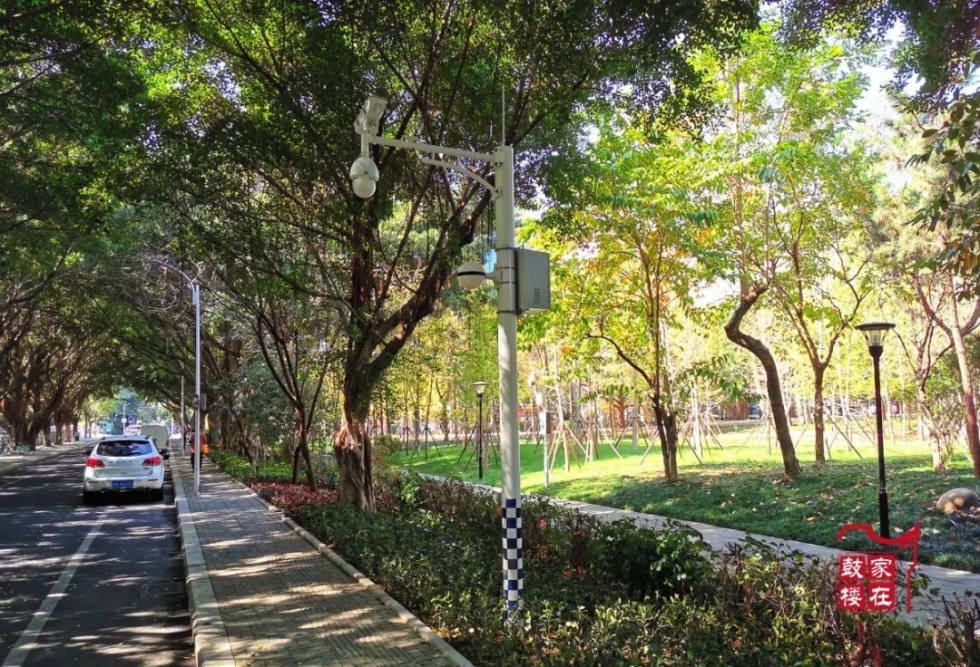 福州高新区最美公园,福州最有韵味的公园