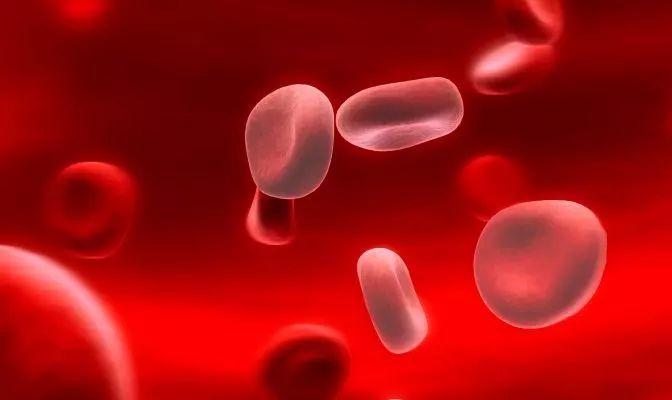 地中海贫血首创新药,地中海贫血最新研发药