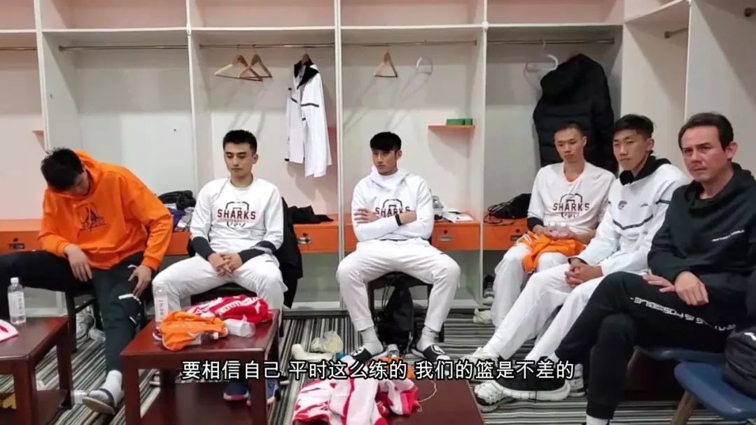 回家真美好,带狗回家父母的真香定律