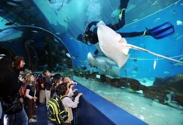 沙迦迪拜每日游轮,迪拜沙迦渡轮