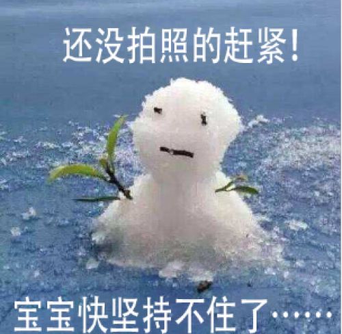 南方人在东北看雪,东北下雪夜里看雪