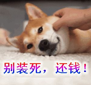 etc欠费可是根本没记录,etc账户欠费好久可以正常使用