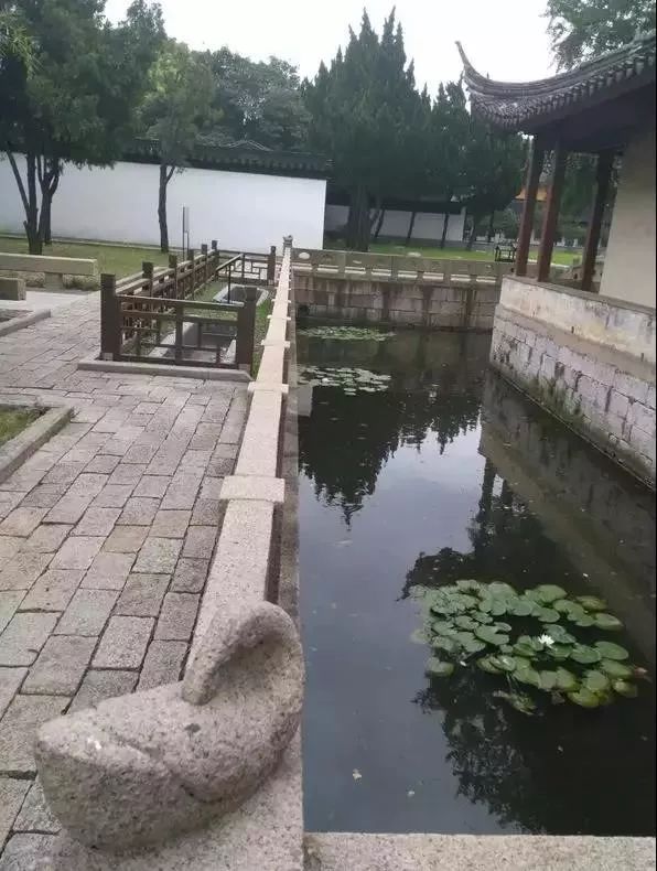 趣读丨旧时苏州人「养宠物」极简史，不只是吸猫遛狗