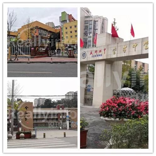 成都土拍最新消息今天时间表,成都土拍集中2021第三次青白江