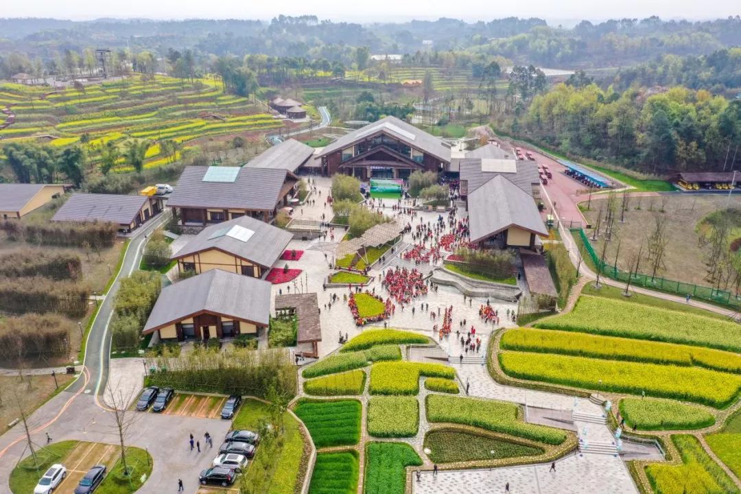 omg爆火,最近超火的omg视频