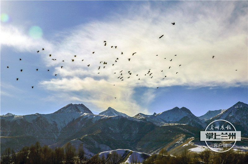 兰州市任我行,兰州任我行现状