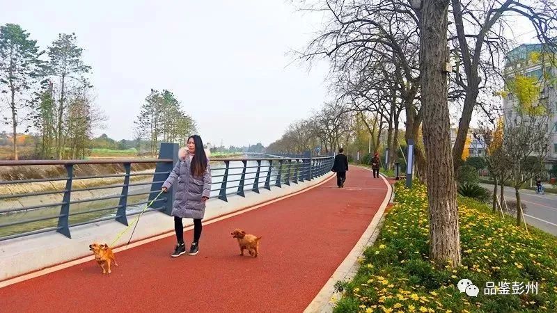 彭州许你一个七彩的世界,来彭州带你看海