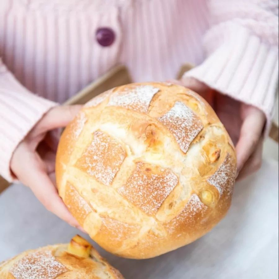 盒马深圳闭店多少家了 (深圳最大的盒马鲜生是哪家)