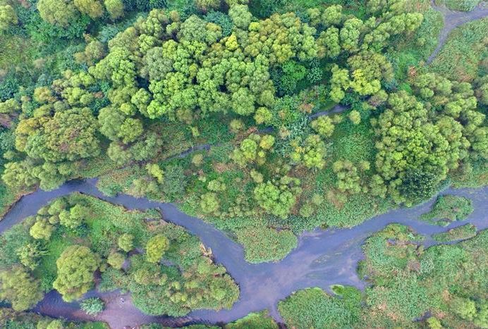 鹤壁算是几线城市,鹤壁是哪个省的城市