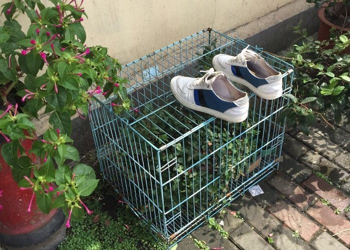 这张图非常火,网友留言说:这个星星就不知道把板凳往前挪一挪吗