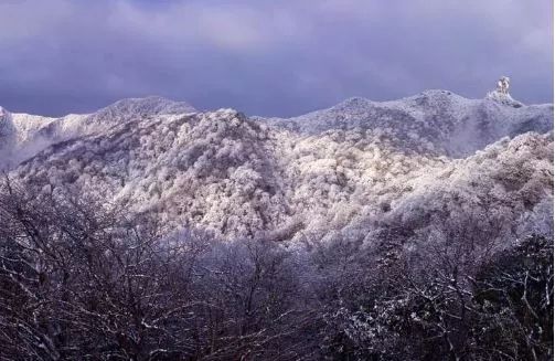 中国宝石最多的地方视频,中国四大宝石是哪四种