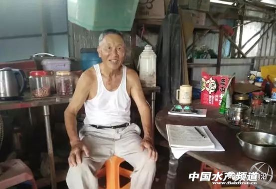 养虾的100大利润,养虾年入百万的人