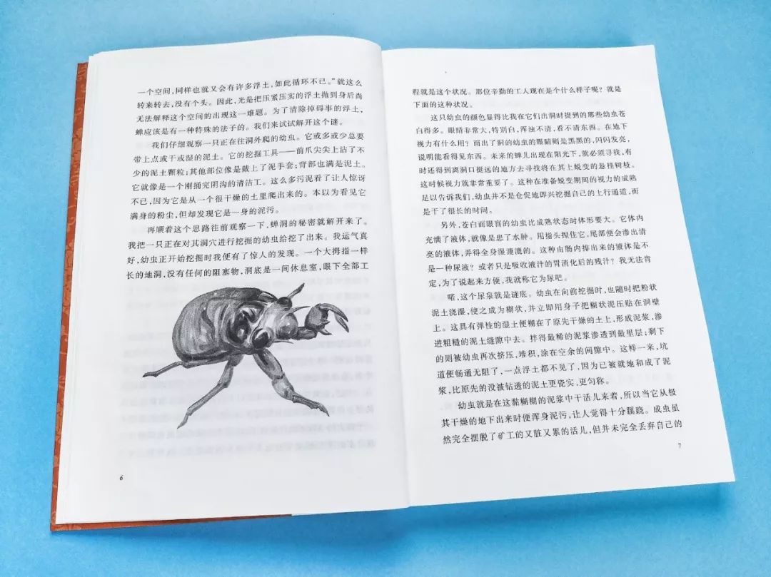 成长必读法布尔昆虫记,法布尔昆虫记书分享