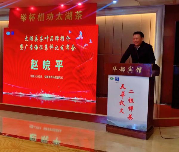 太湖茶叶广告语宣传语,茶叶品牌宣传语征集揭晓