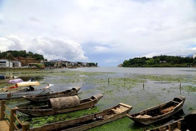 泸沽湖虎跳峡香格里拉怎么坐车,丽江香格里拉泸沽湖虎跳峡