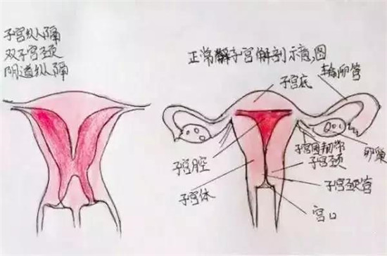 雅安恒博妇产医院技术好吗,雅安市恒博医院妇产科好不好