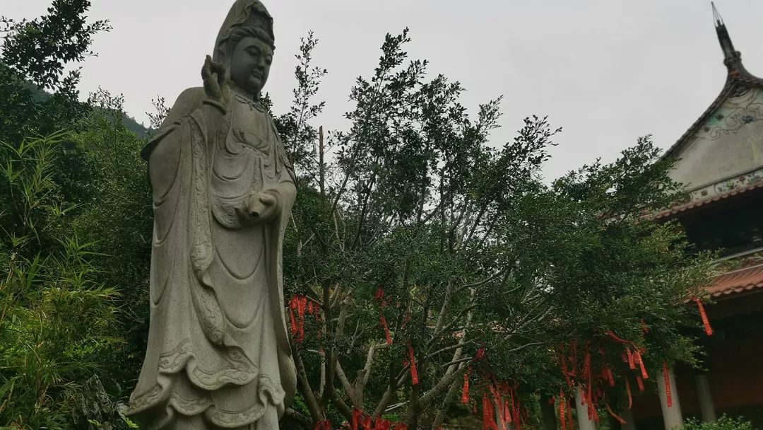 泉州的人间仙境,一秒就沦陷陆沉