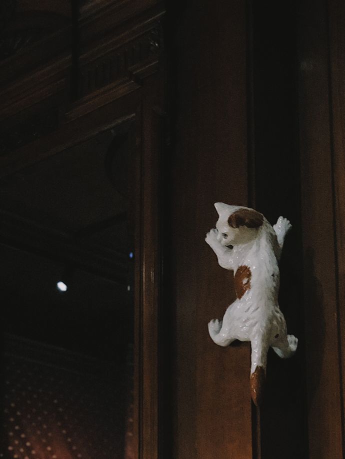 各种猫咪的博物馆,猫咪博物馆都有哪些猫