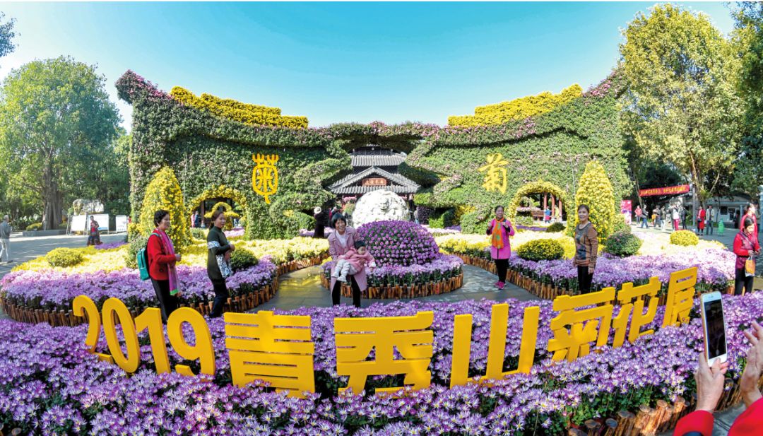 青秀山菊花展进入最佳观赏期,南宁青秀山菊花展门票多少钱一张