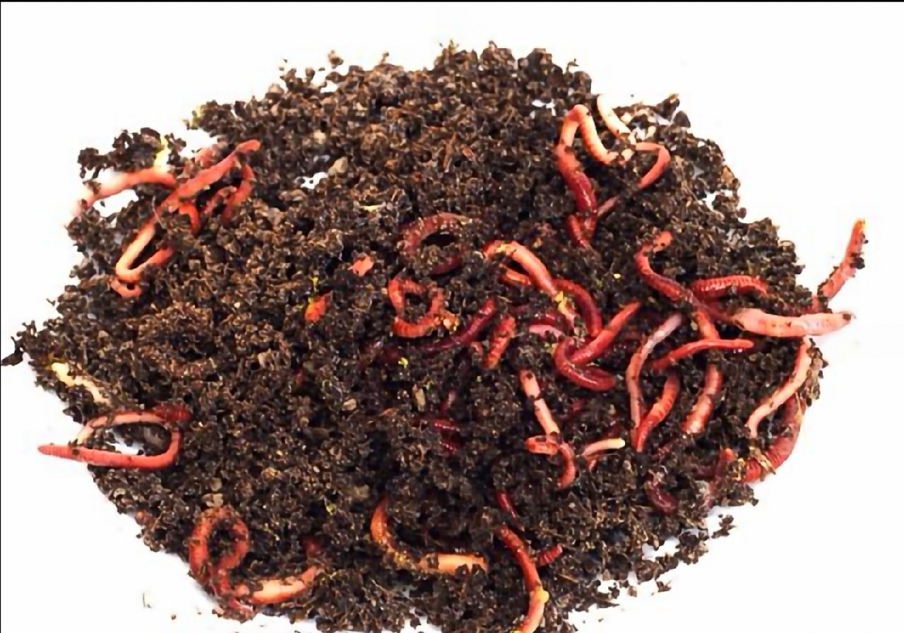 传统钓轻装上阵,传统钓装备怎么做到轻松又舒服